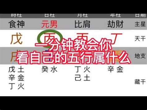 1971五行|生辰八字查詢，生辰八字五行查詢，五行屬性查詢